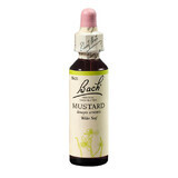Flower Remedy Wild Mustard Drops Original Bach Senf, 20 ml, Rescue Remedy