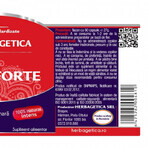 Renal Forte, 120 capsule, Herbagetica