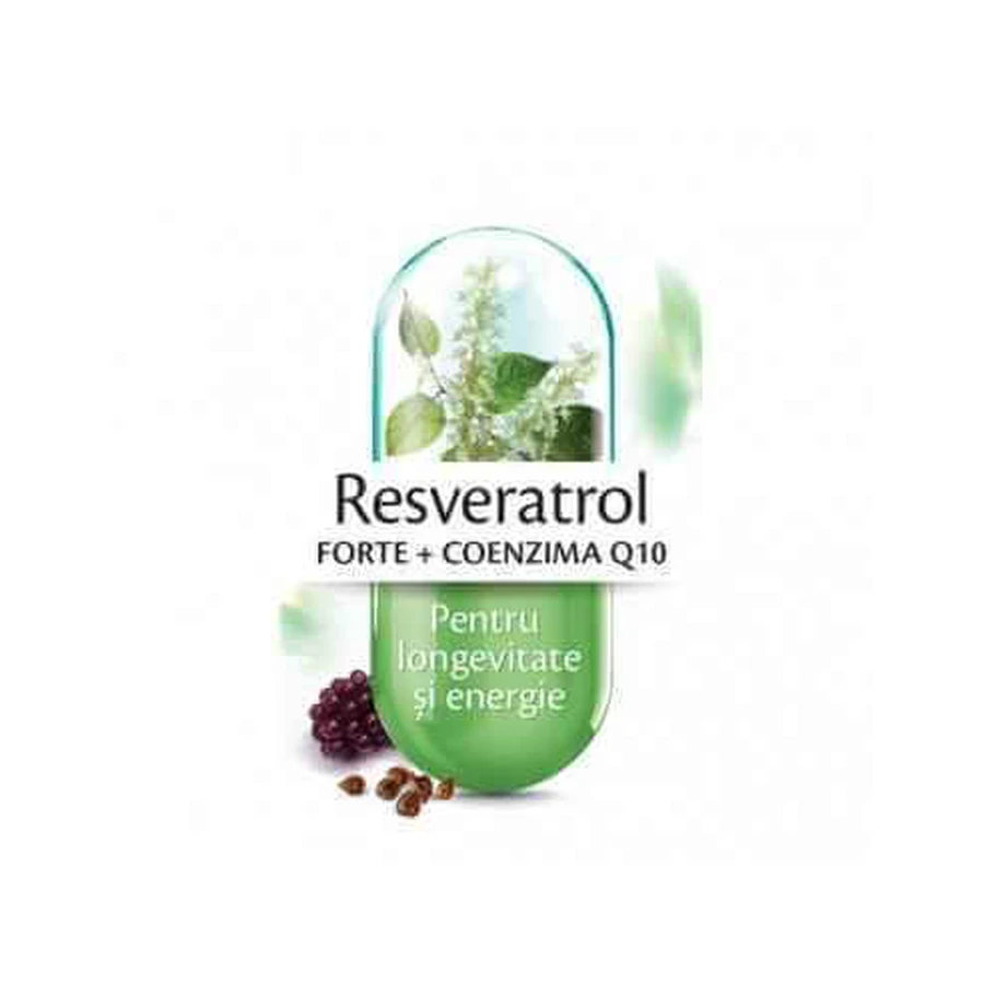 Resveratrol Forte + Koenzym Q10, 30 kapsułek, Rotta Natura: ceny i cechy