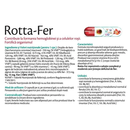 Rotta-Iron, 30 capsules, Rotta Natura