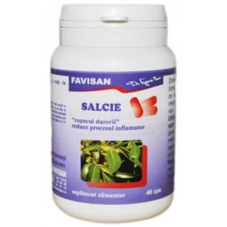 Willow, 40 capsules, Favisan