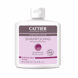 Bio-Shampoo für trockenes Haar mit Bambussamen, 250 ml, Cattier