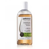 Sampon cu extract de nuc pentru par saten Beauty Hair, 250 ml, Pellamar