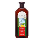 Shampoo with garlic phytocomplex, 500 ml, Krauterhof