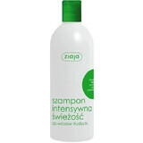 Shampoo für fettiges Haar mit Minze, Octopirox und Brennnessel, 400 ml, Ziaja