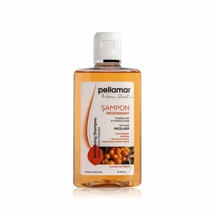 Regenerierendes Shampoo mit Catina-Extrakt Beauty Hair, 250 ml, Pellamar