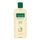 Gerovital Expert Behandlung Talgkontrolle Shampoo, 250 ml, Farmec