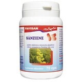 Sânziene, 70 capsule, Favisan