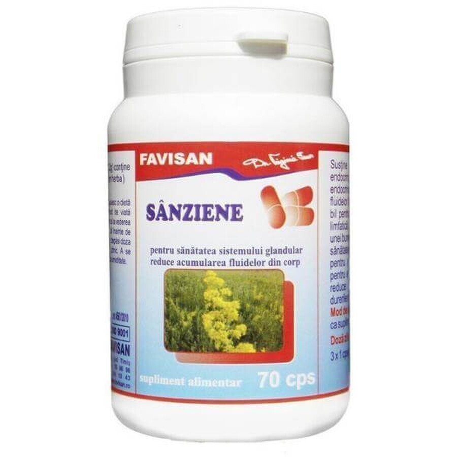 Sânziene, 70 capsule, Favisan