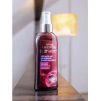 Gerovital H3 Evolution Mizellenwasser mit Aktivkohle und Hyaluronsäure, 150 ml
