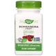 Schizandra Fruit Natures Way, 100 capsules, 580 mg, Secom