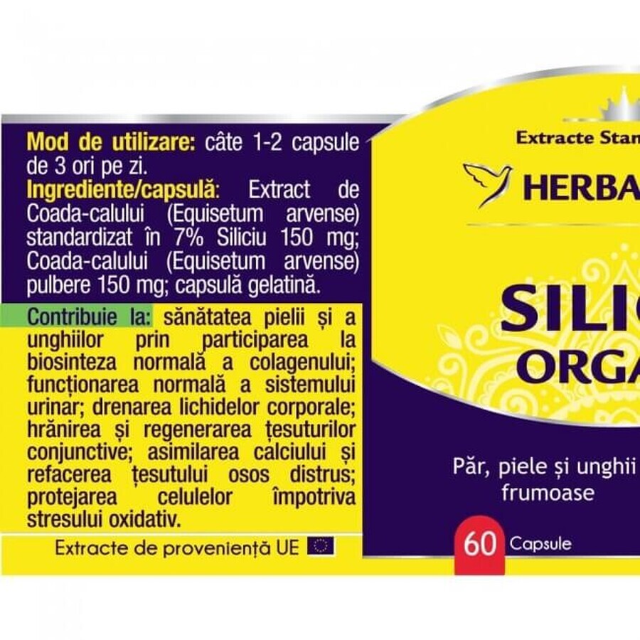 Bio-Silizium, 120 Kapseln, Herbagetica