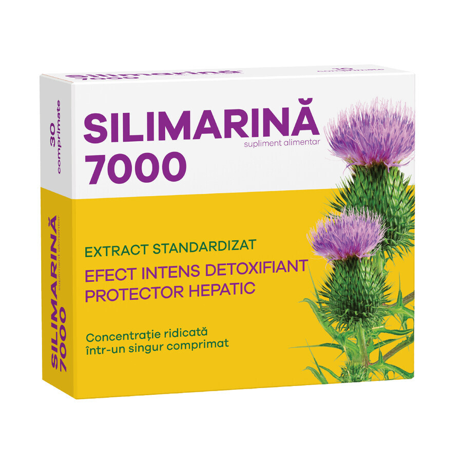 Silymarin 7000, 30 Tabletten, Fiterman Bewertungen