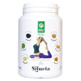 Silueta shake extract din soia cu pulberi de plante, 500 g, Steaua Divina