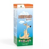 Hepaid Junior Sirup, 100 ml, Sun Wave Pharma