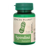 Spirulina, 60 tablets, Dacia Plant