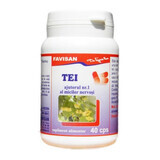 Tei, 40 capsules, Favisan