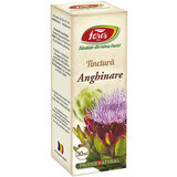 Tinctură de Anghinare, 30 ml, Fares