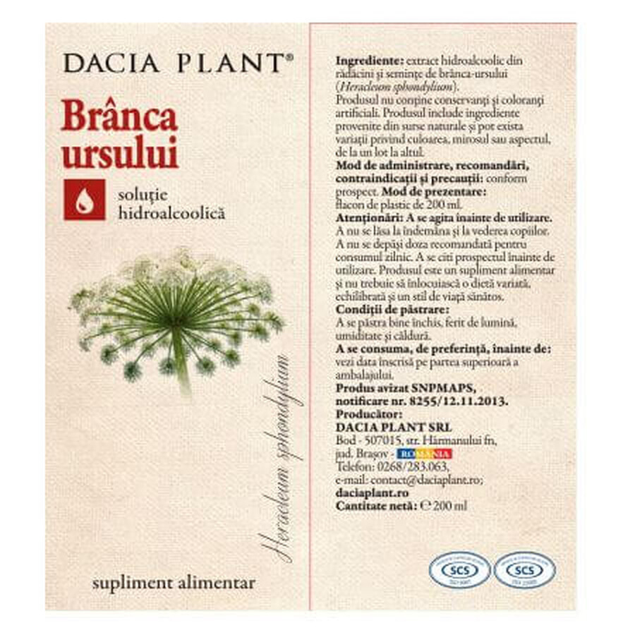  Dacia Plant Bärentraubentinktur, 200 ml