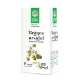 Bear's White Tincture, 50 ml, Divine Star