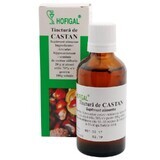 Tinctură de Castan, 50 ml, Hofigal