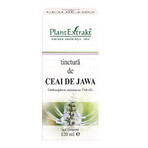 Jawa Tee Tinktur, 120 ml, Pflanzenextrakt