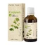 Cretisoara Tinktur, 50 ml, Dacia Plant