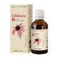 Tinctură de Echinacea, 50ml, Dacia Plant