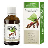 Tinctura de muguri de Plop, 50 ml, Dacia Plant