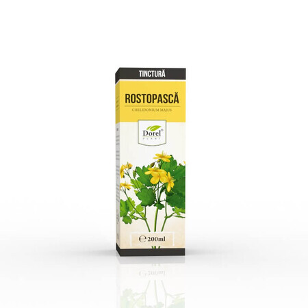 Tinktur von rostopasca, 200 ml, Dorel Plant