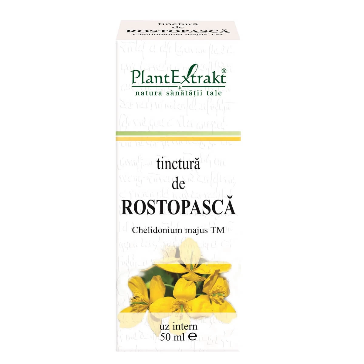 Scharbockskraut Tinktur, 50 ml, Plant Extrakt