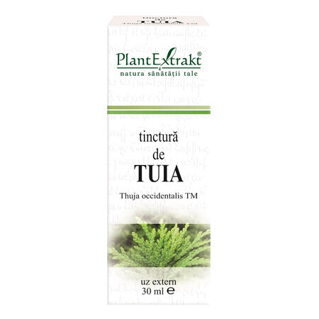 Tinctură de Tuia, 30 ml, Plant Extrakt