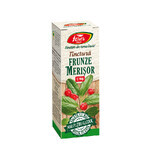 Tinctură din frunze de merișor, U98,50 ml, Fares