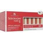 Seboradin Forte +, 14 Ampullen x 5,5 ml, Lara