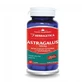 Astragalus 500 mg, 60 Kapseln, Herbagetica