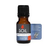 Eucalyptus Essential Oil 100% Organic, 10 ml, SOiL