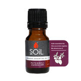 Paciuli Pure Essential Oil 100% Organic, 10 ml, SOiL