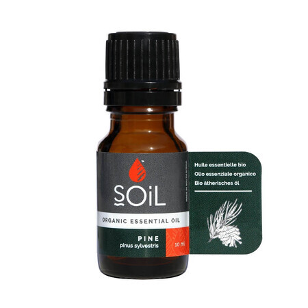 Ulei Esențial Pin Pur 100% Organic, 10 ml, SOiL