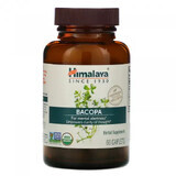 Bacopa Memory Wellness, 60 capsule, Himalaya