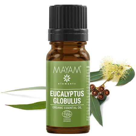 Ätherisches Öl Eukalyptus (M - 1030), 10 ml, Mayam
