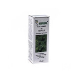 Ulei volatil de Menta, 10 ml, Hofigal