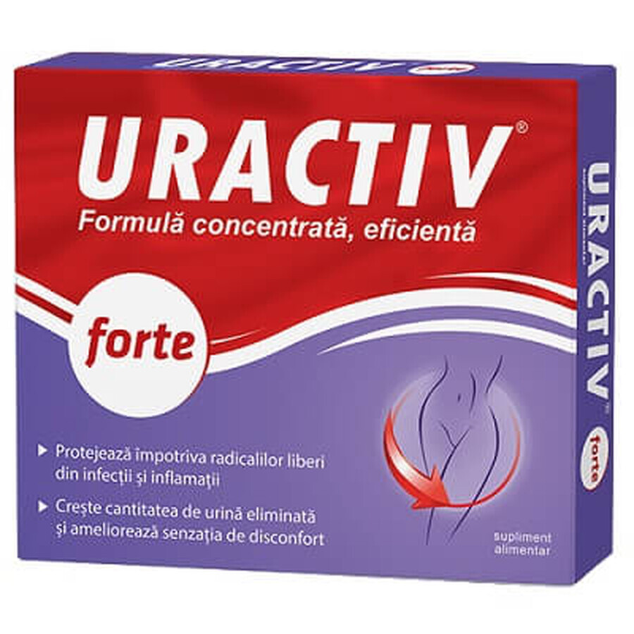 Uractiv forte, 20 Kapseln, Fiterman Pharma