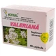 Valeriana, 40 Kapseln, Hofigal