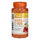 Vitamin C 500 mg mit Acerola- und Himbeergeschmack, 40 Kautabletten, Vitaking