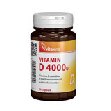 Vitamin D 4000 IU, 90 Kapseln, Vitaking