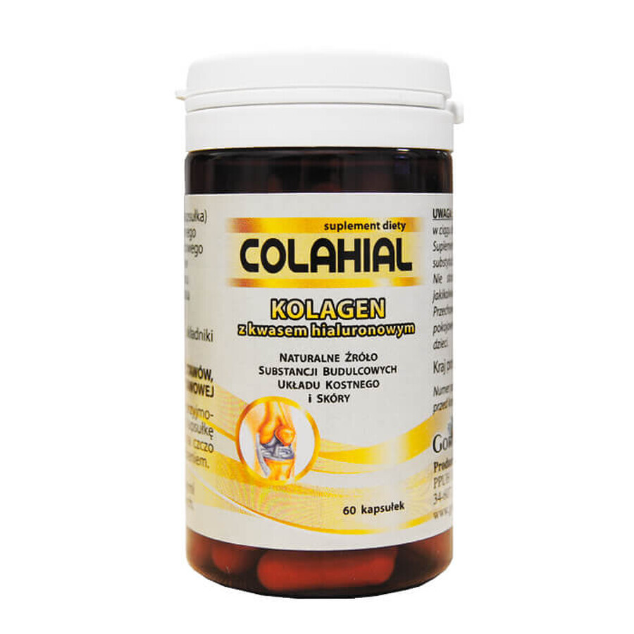 Colahial, Kollagen mit Hyaluronsäure, 60 Kapseln