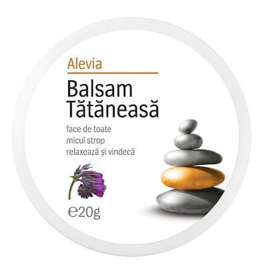 Balsam de Tătăneasa, 20g, Alevia