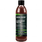 Barwa Brennnessel Shampoo - Pflegendes Haarshampoo 250ml - Mit stärkendem Brennnessel-Extrakt für Glanz  amp; geschmeidiges Haar - Frei von Schadstoffen.