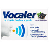 Vocaler, schwarze Johannisbeere, 12 Pastillen