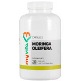 MyVita Moringa oleifera, organically grown leaf, 250 capsules